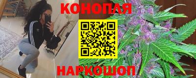 mix Новозыбков