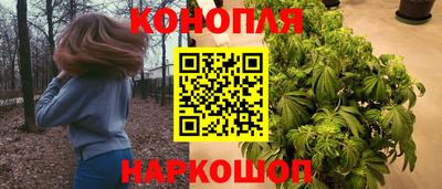 mix Новозыбков