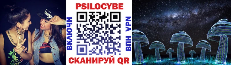Псилоцибиновые грибы мицелий  Химки 