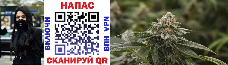 как найти закладки Химки Каннабис VHQ